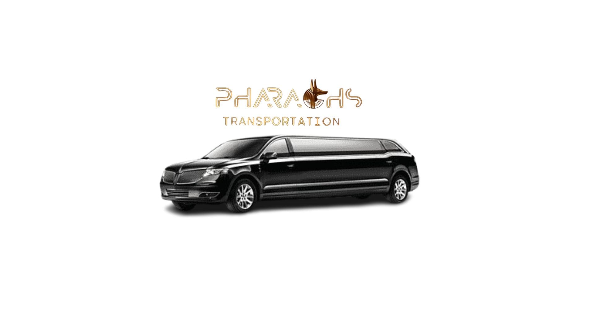 Stretch Limousine Rental